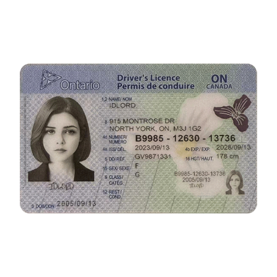 Ontario Fake id front side Ontario Fake id front side