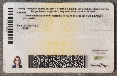 Maryland Fake IDs