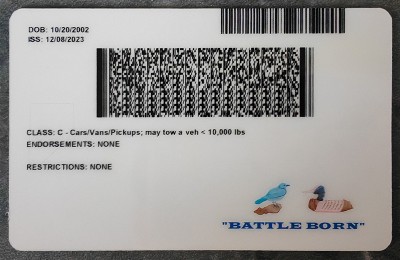 Nevada Fake Dirvers Licence